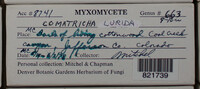 Image Associated With the Occurence